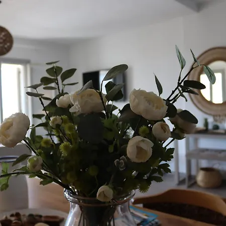 Antigoni ヴィラ *